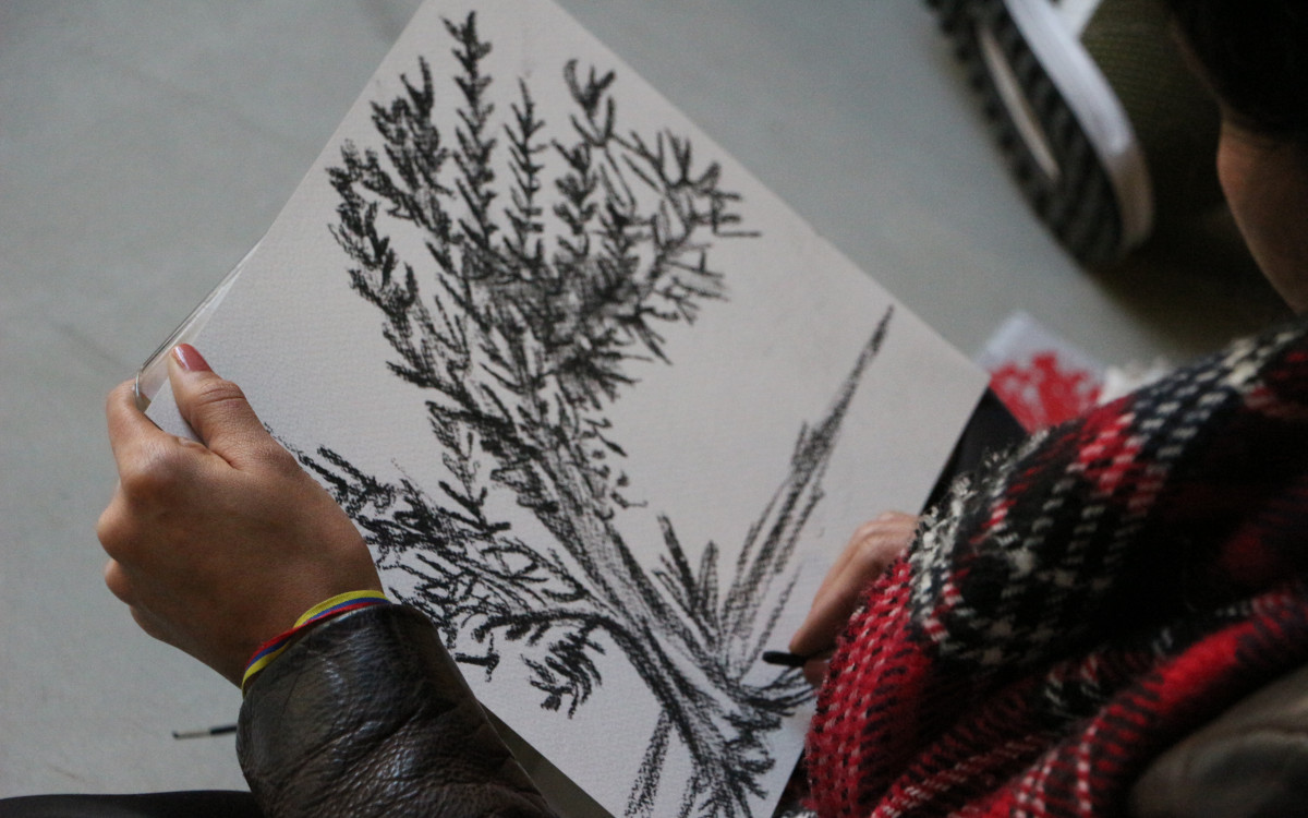 Plan rapproché sur un carnet à dessin tenu par une femme, sur lequel on foit un arbre dessiné au crayon noir